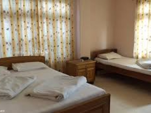  Executive triple bed Non-AC Room