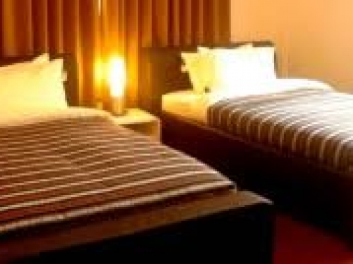 Superior Deluxe Double/Twin Non-AC Room
