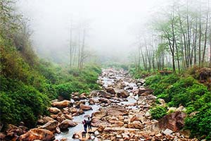 Srikhola - Unheard beauty of Darjeeling