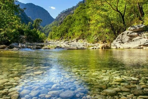Bijanbari - Unexplored spot near Darjeeling