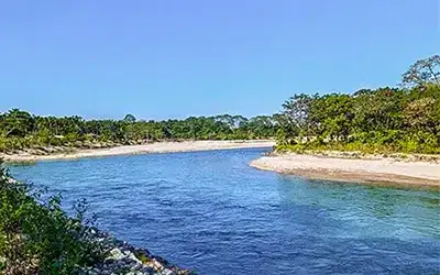 Dooars Package Tour for 4 Days with Jaldapara and Gorumara